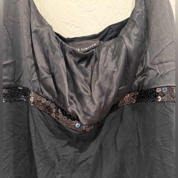 NWT The Limited sheen sequin tank size L - Picture 2 of 5